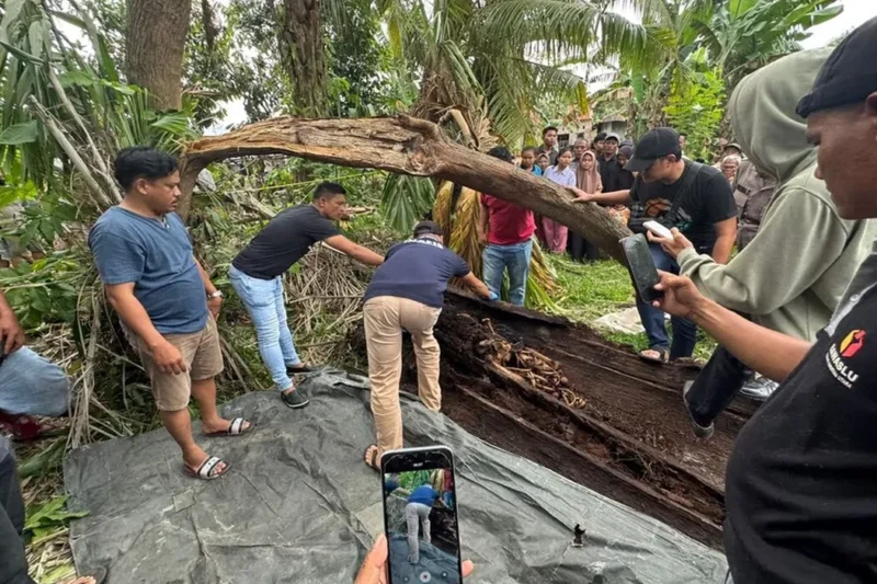 Misteri Kerangka di Dalam Pohon, Polda Sumut Periksa 8 Saksi Misteri Kerangka di Dalam Pohon, Polda Sumut Periksa 8 Saksi