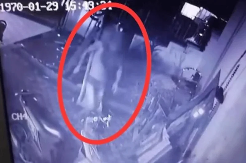 Pencuri Nekat Hanya Mengenakan Sempak Dan Topeng Di Medan, Dan Lari Kocar-kacir Karena Digonggong Anjing