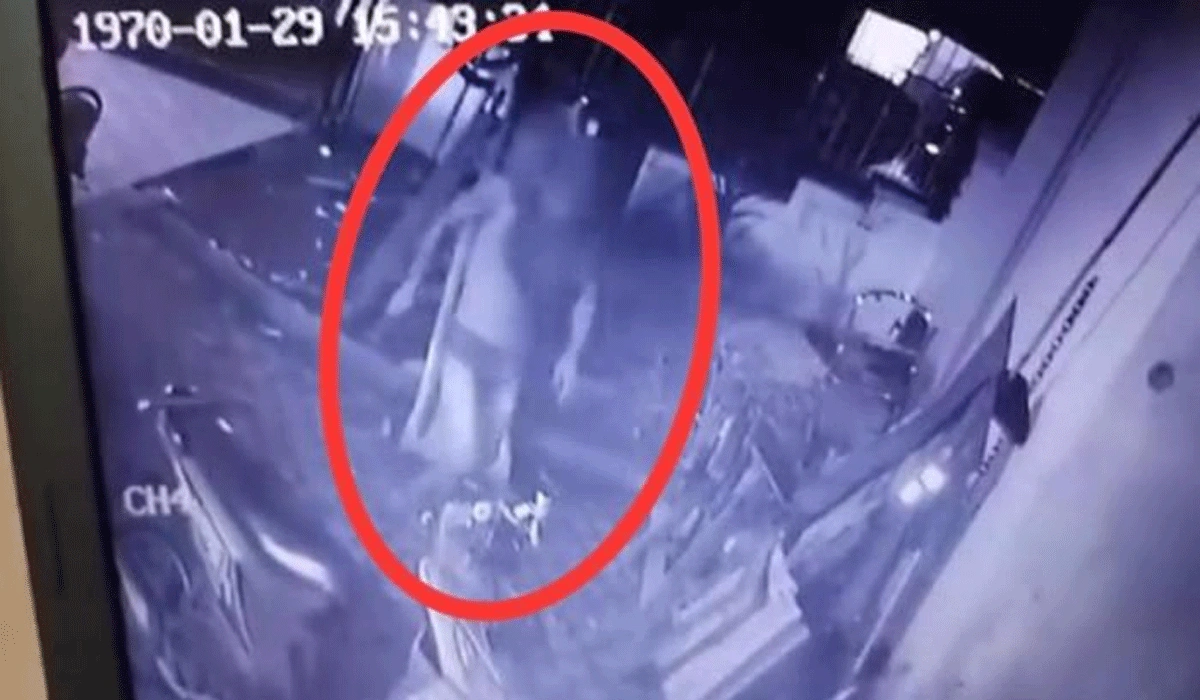 Pencuri Nekat Hanya Mengenakan Sempak Dan Topeng Di Medan, Dan Lari Kocar-kacir Karena Digonggong Anjing