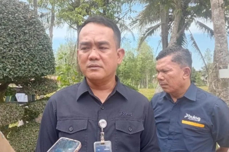 Bulog Sumut Secepatnya Salurkan Jagung SPHP Untuk Peternak Mikro