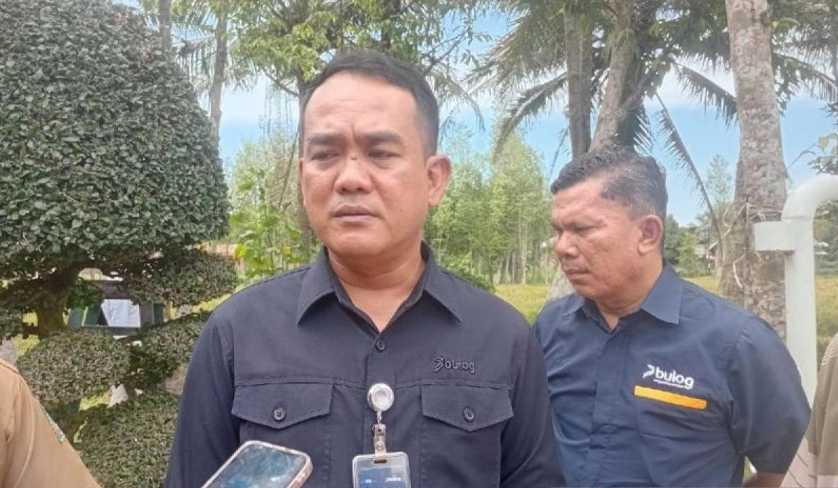 Bulog-Sumut-Secepatnya-Salurkan-Jagung-SPHP-Untuk-Peternak-Mikro