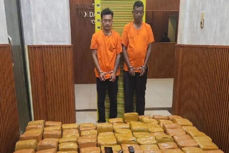 Polisi Tangkap Dua Kurir Ganja 225 Kg, Bayaran Capai Rp 50 Juta