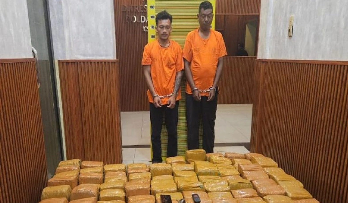 Polisi-Tangkap-Dua-Kurir-Ganja-225-Kg,-Bayaran-Capai-Rp-50-Juta