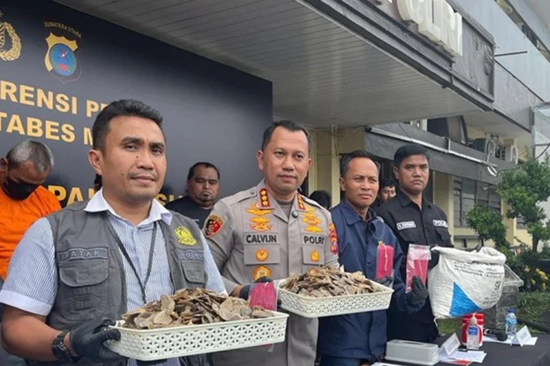 Polrestabes Medan Gagalkan Penjualan 13 Kg Sisik Trenggiling