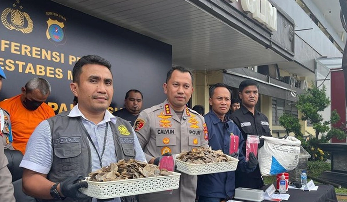 Polrestabes-Medan-Gagalkan-Penjualan-13-Kg-Sisik-Trenggiling
